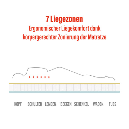 BeMeo Federkern 21 cm Komfort-Höhe