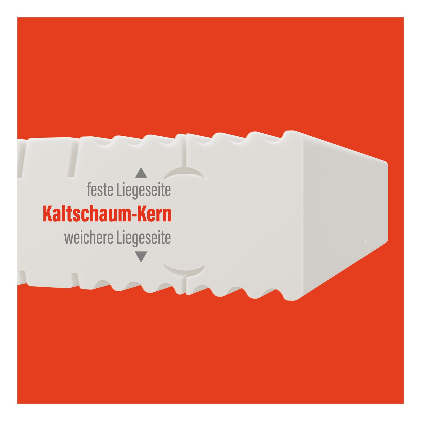BeMeo Kaltschaum 21 cm Komfort-Höhe
